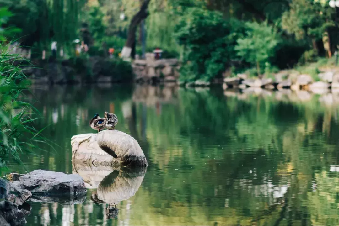 中国春天最美的10座大学，好想回去谈一场恋爱