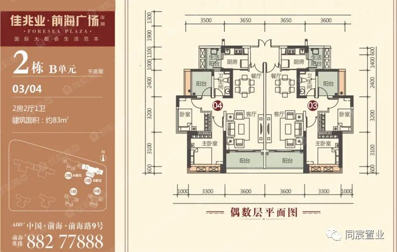 深圳大学优秀生源基地，深大附属教育集团(下)