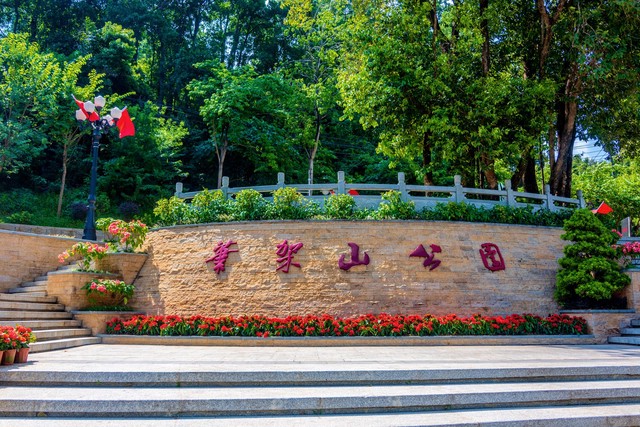 深圳10个免费公园，你们去了几个，不来打卡太可惜