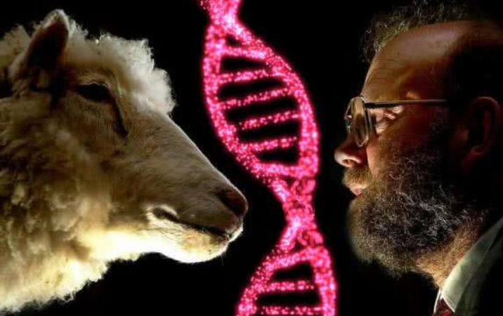 克隆技术应该为人类所用吗?