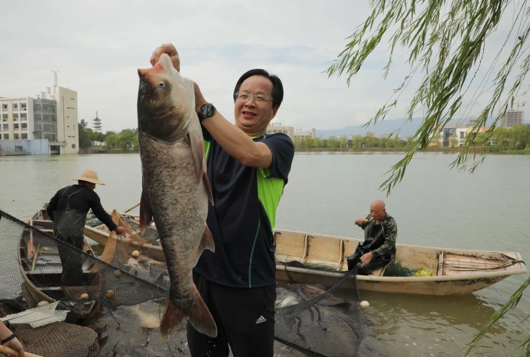 金职喊你免费吃鱼啦