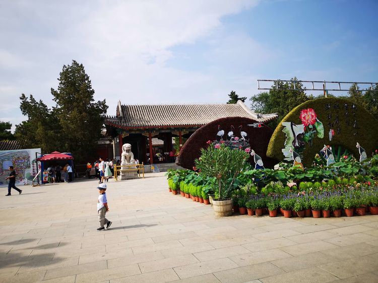 北大印象，漫步北大校园