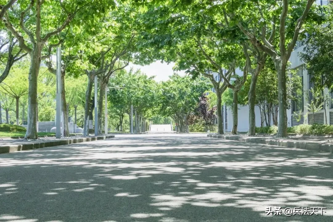 盛夏喧嚣里，一缕清风拂过，闹中取静，尽享悠然滋味。