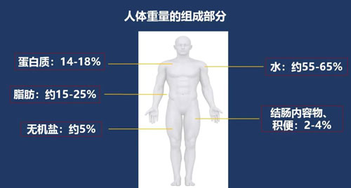 你的「体脂率」可能比猪高，快来测测你的体脂率