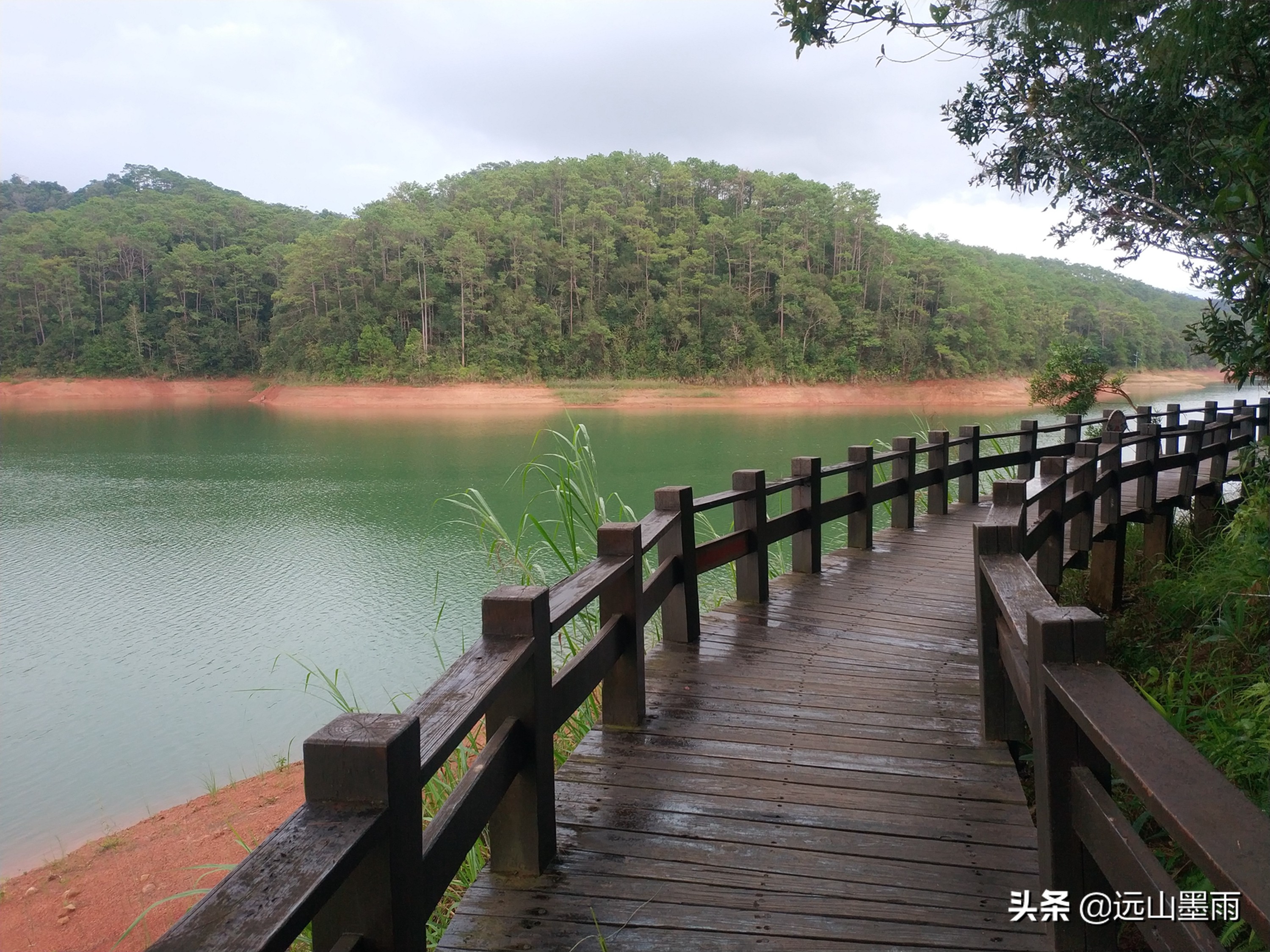 洗马湖、梅子湖、南部湿地公园，假期去云南普洱，有很多好玩场