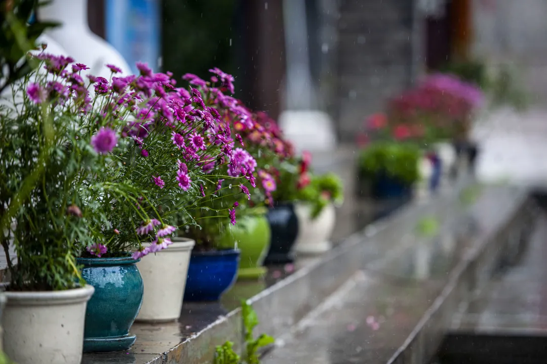 六月人间 | 古城之韵，烟雨蒙蒙让人沉醉