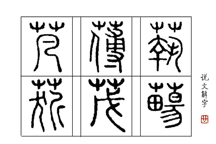 草字头凡字底念什么（字词拼音之芃字的正确发音）