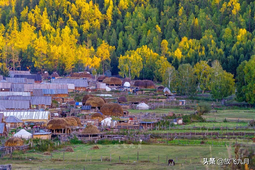 新疆旅游哪些地方需要办边防证？与哪些国家边境相邻？哪个免费