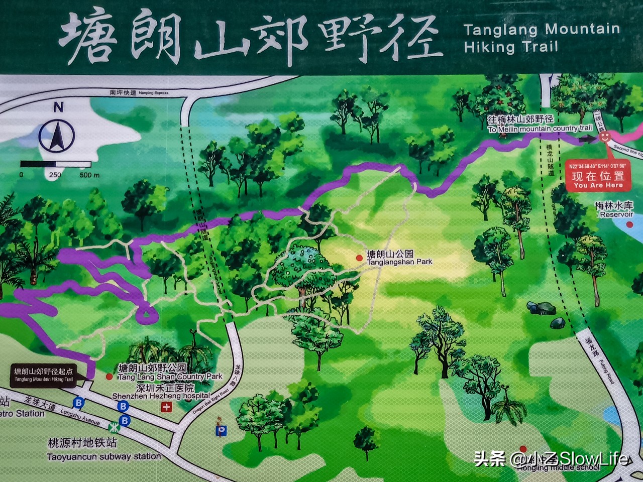 塘朗山在哪里（塘朗山的美丽景点旅游攻略分享）