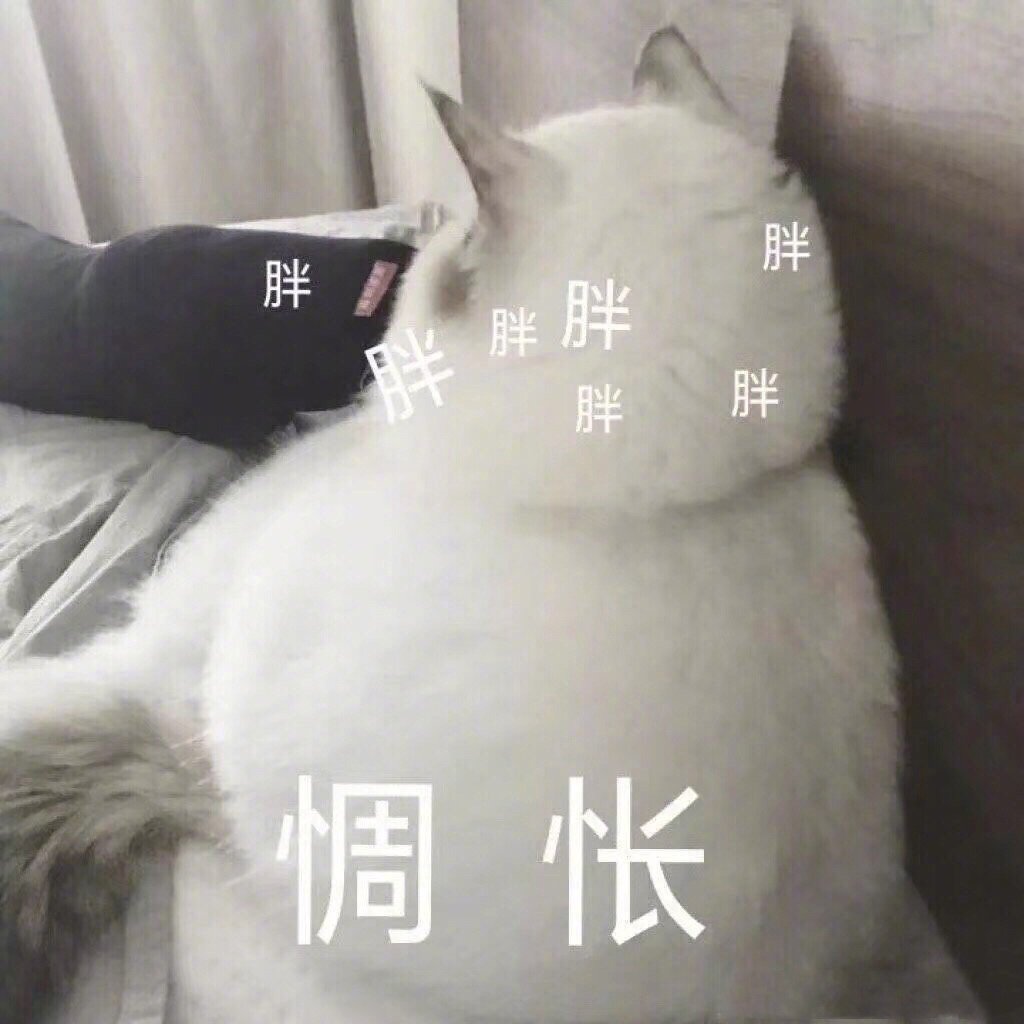 猫咪表情包合集｜笑得露出小虎牙