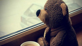 婚姻出现问题，想要调解应该找哪个部门处理？