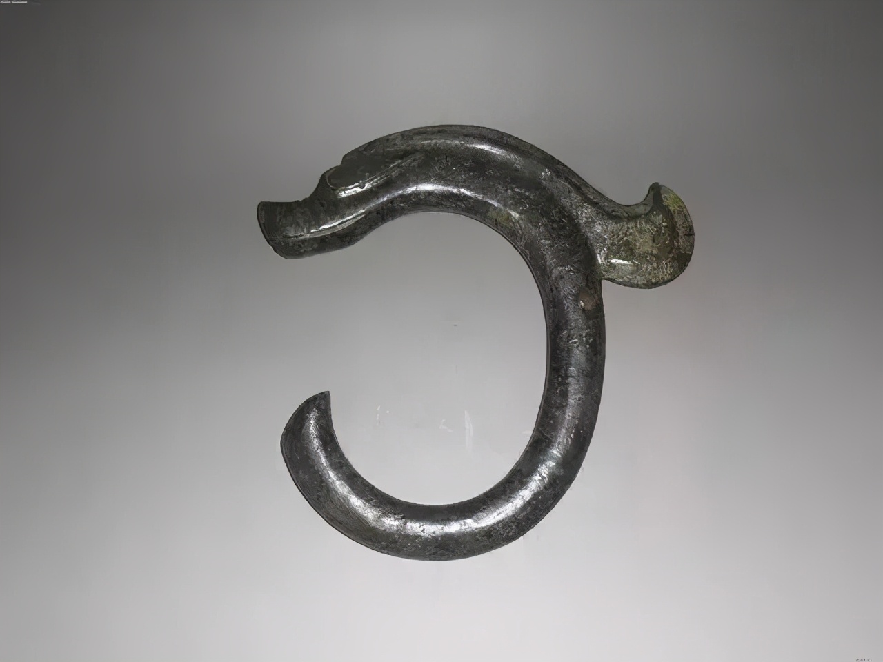 考古不断挖出上古"真龙",中国最早的龙出现于8000年前