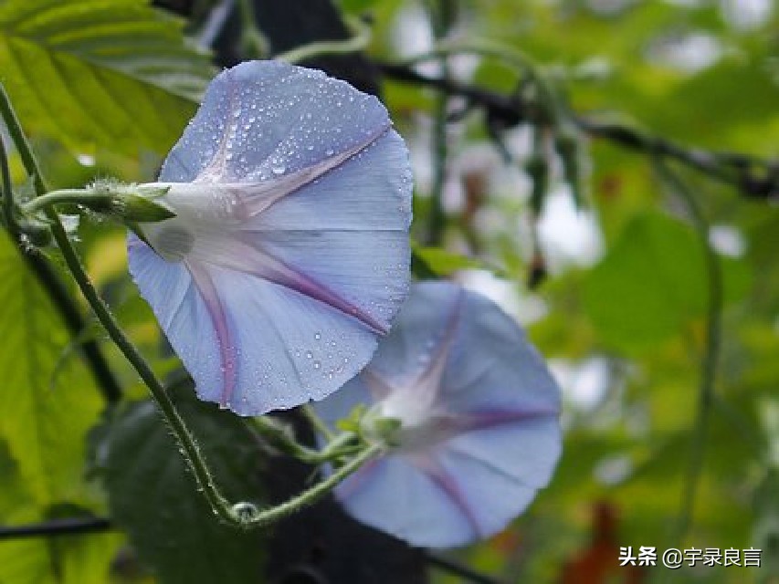 值得深思的句子：坚守一份简朴恬静淡泊，就是精彩人生