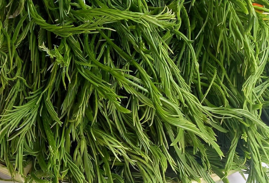 浑身长刺,非树非藤更非草,有浓烈臭味,俗称"臭菜"20元1斤