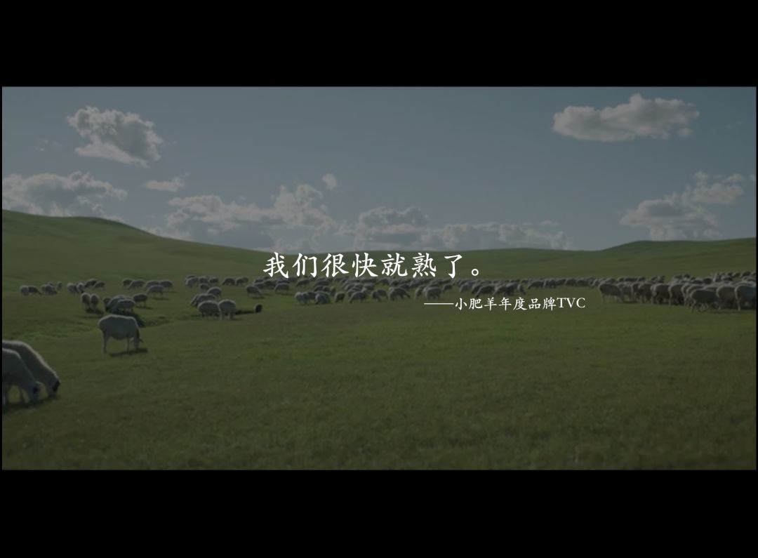 2018 年度十佳文案，每一句都说到心坎里