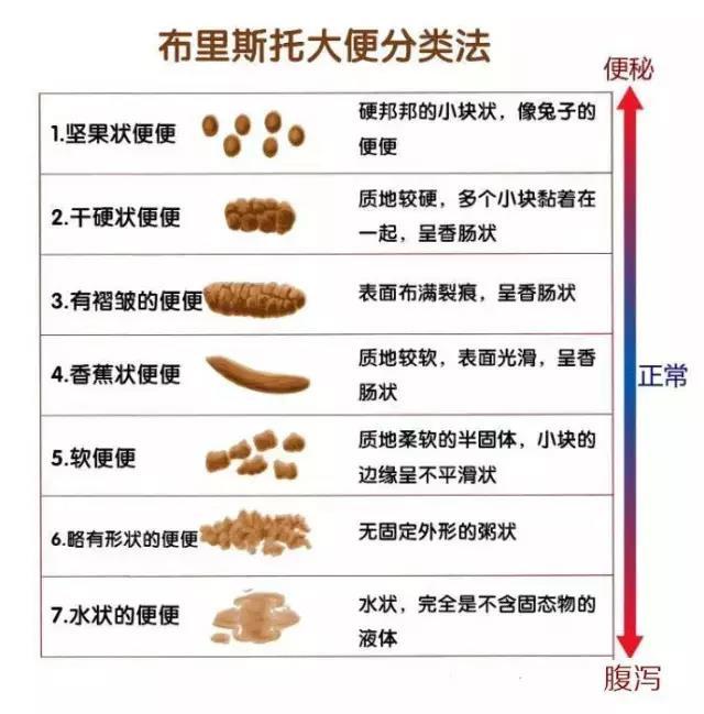 几种形状不健康大便图