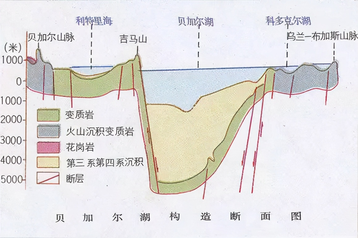 贝加尔湖是断层湖,大约在2500万年前形成,大量海洋鱼类被围困在内,而