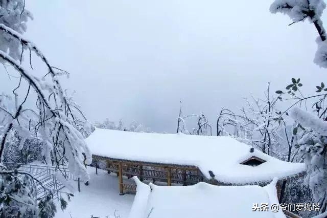 红墙，白雪，琉璃瓦，大雪压青松