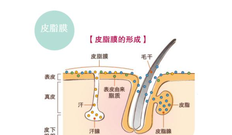 皮肤瘙痒、泛红、干燥怎么办？发现问题、“对症下药”才有效