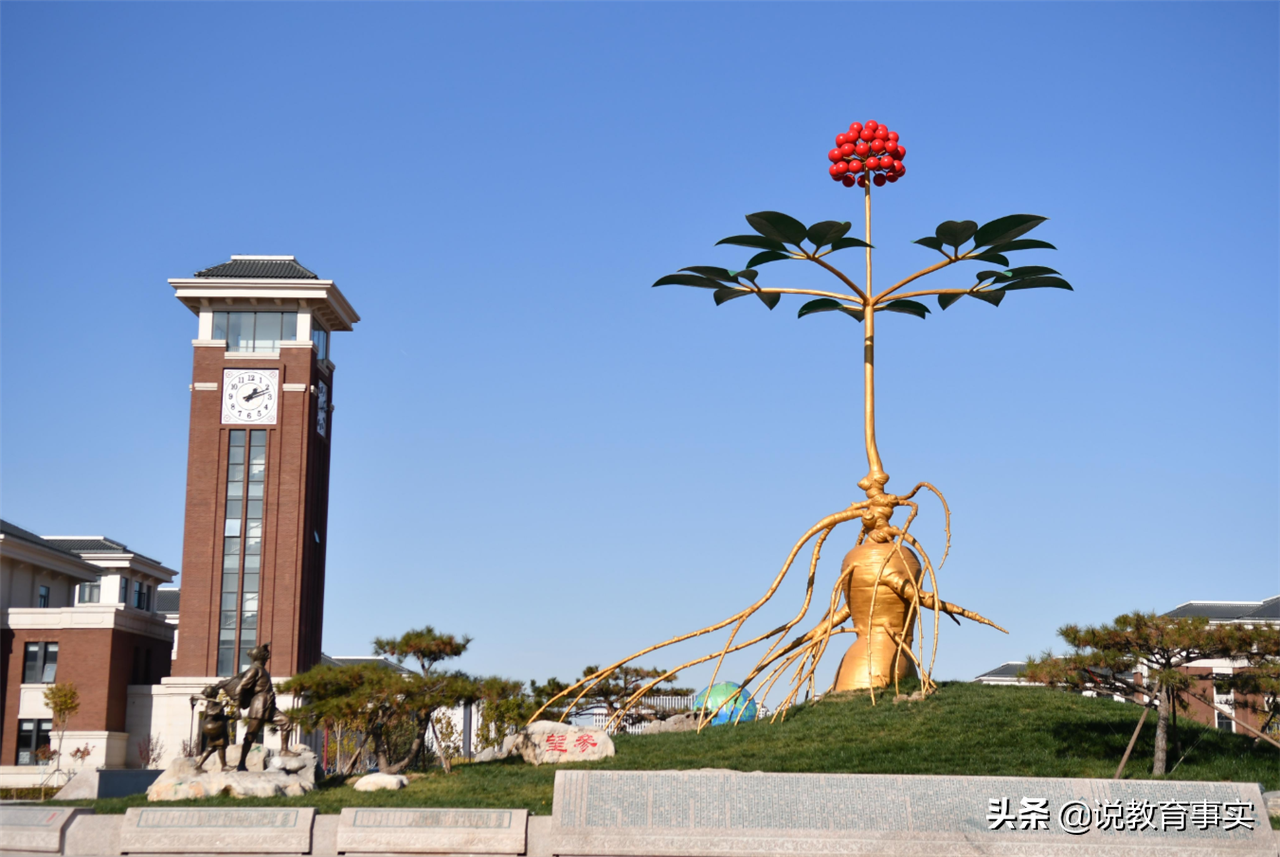 当年的末流大学，如今摇身一变成“双一流”名校，本土学生有福了