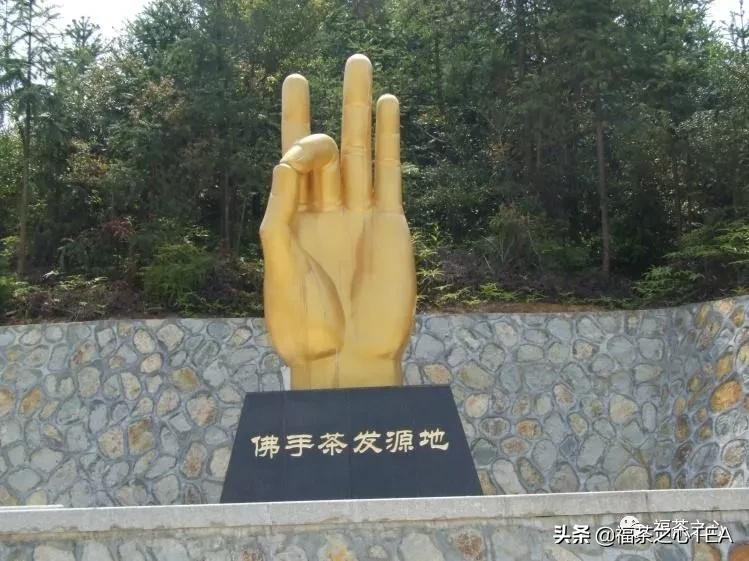 建议收藏:福建茶叶大汇总,了解福建全部茶叶看这一篇就够了