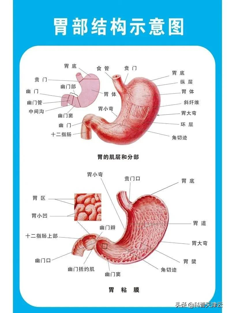 致命的胃出血,你了解多少?
