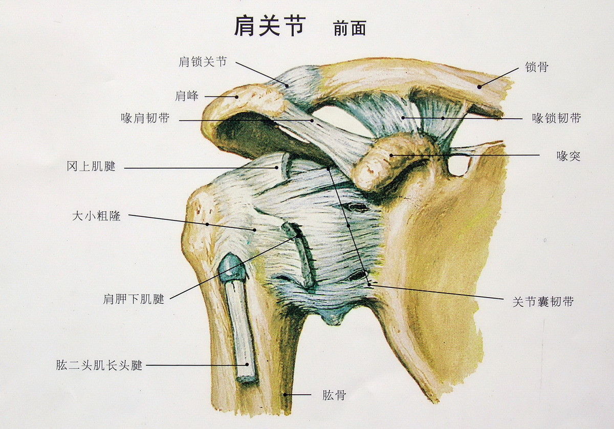 得了“肩周炎”，能不能自愈？如何加快康复？遭受折磨的人看看吧