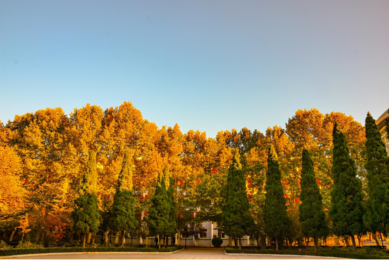 这所大学被称警校中的“少林寺”，专科也能拿铁饭碗，考上不易