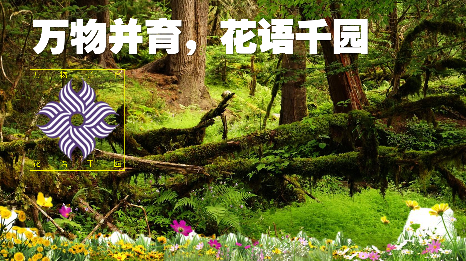 仙湖花园走出梧桐山