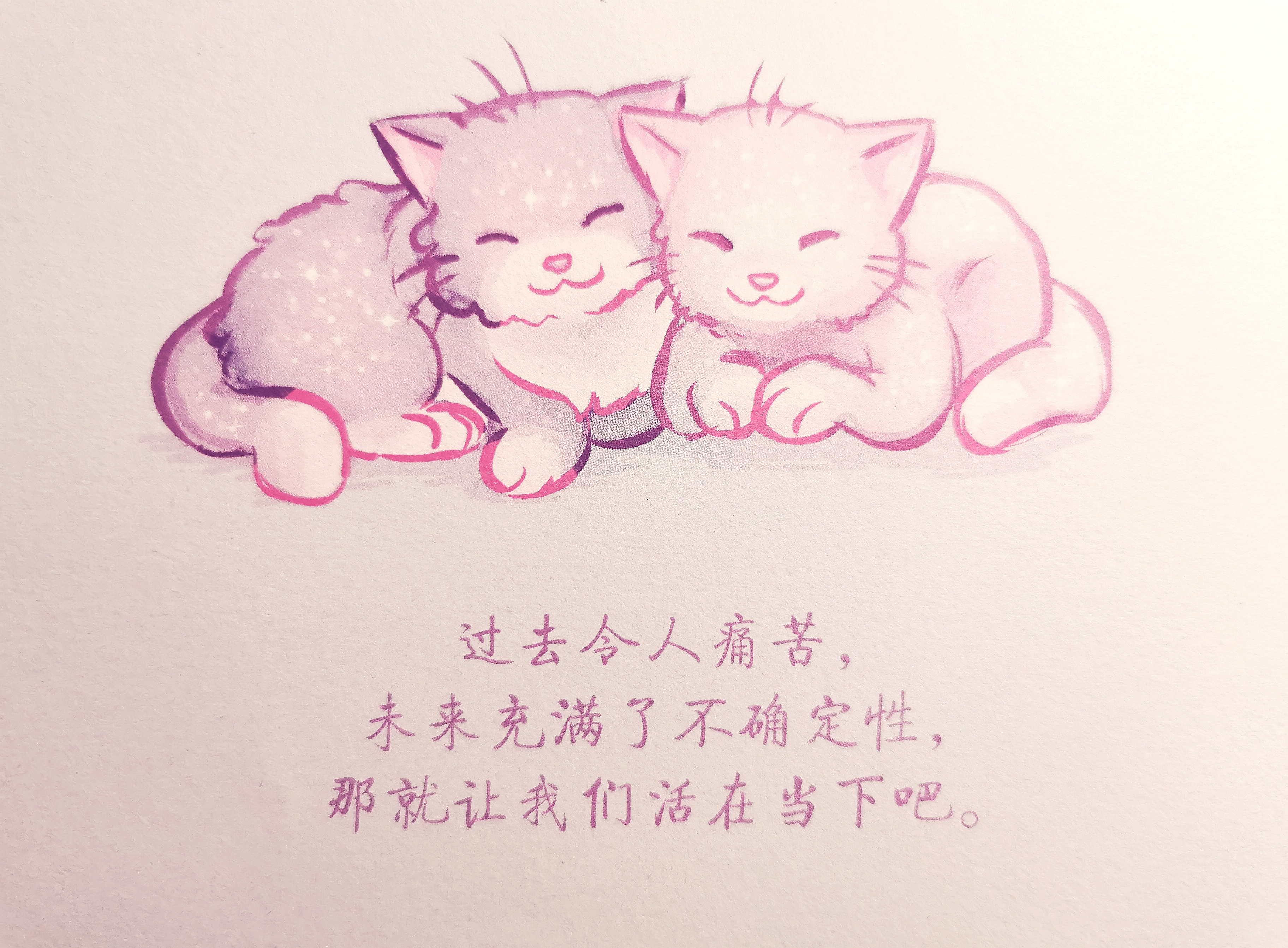 《柔软的刺猬》：用温暖美好的力量疗愈自我