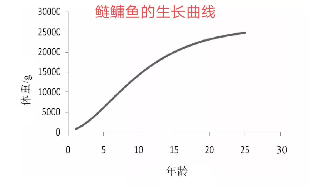 花鲢鱼,花鲢鱼怎么做好吃