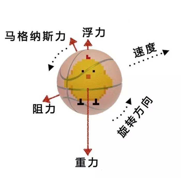 nba球员为什么总是旋转(趣闻：打篮球的5个物理原理你知道嘛？)