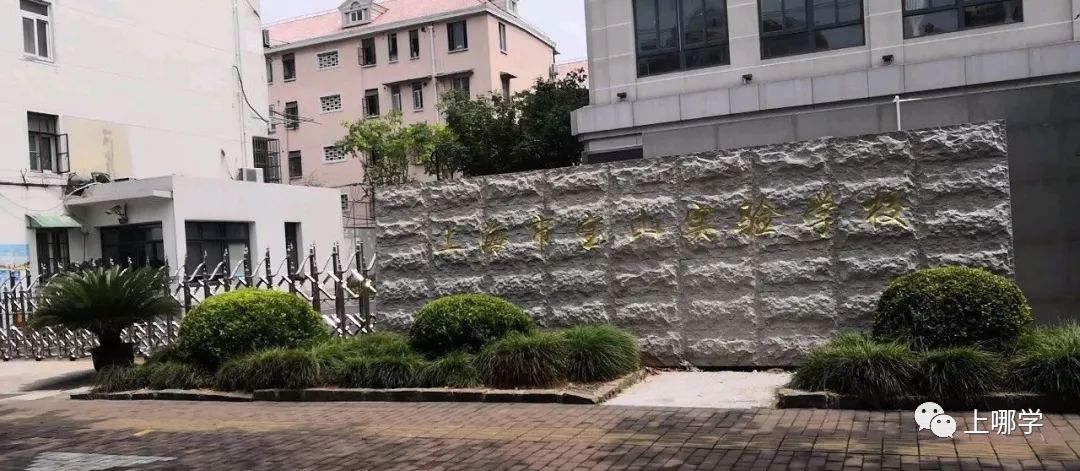 民办摇号的保险选择！上海10所公办一贯制学校，招生要求越来越严