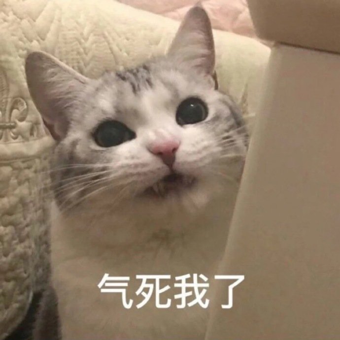 猫咪表情包合集｜我心爱的狗东西在吗？