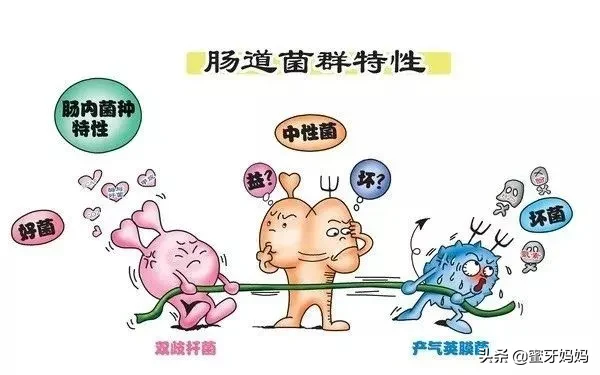 益生菌吃不吃?怎么吃?关于益生菌,一篇全知道