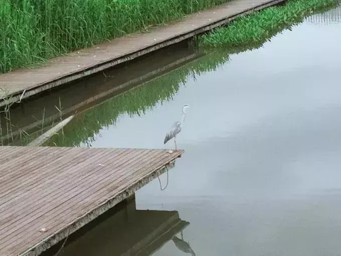 还有9天，贵州人集体放假！85个度假胜地马上安排！