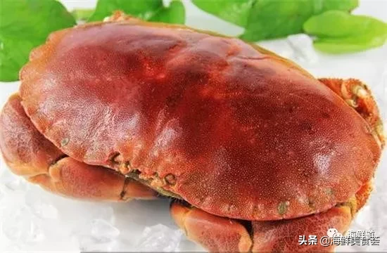 市场常见的102种海鲜，肉质鲜美，营养丰富，你们吃过几种？