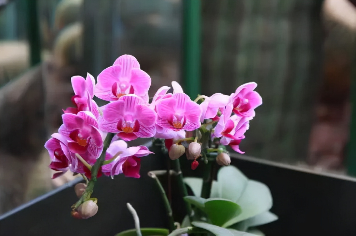 80后90后看社会｜为什么现在年轻人存不住钱