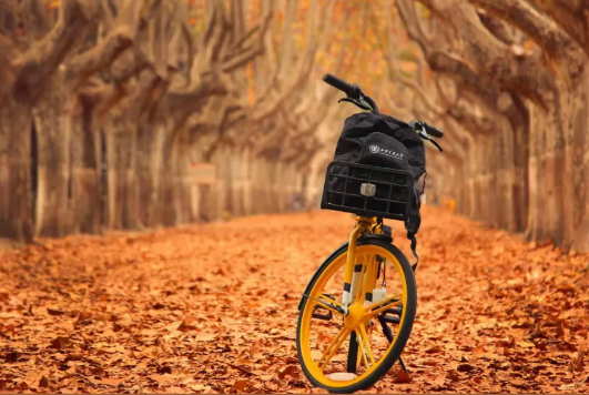 刚刚！2020年陕西省高考分数线最新公布！内附西安交大近3年录取情况！