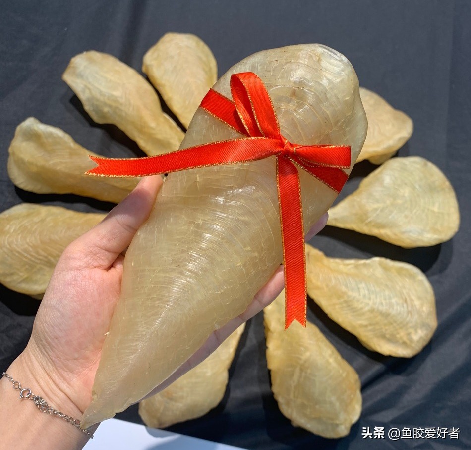 鱼胶越大越好吗？赶快学会这几个技巧，难怪之前都白吃了