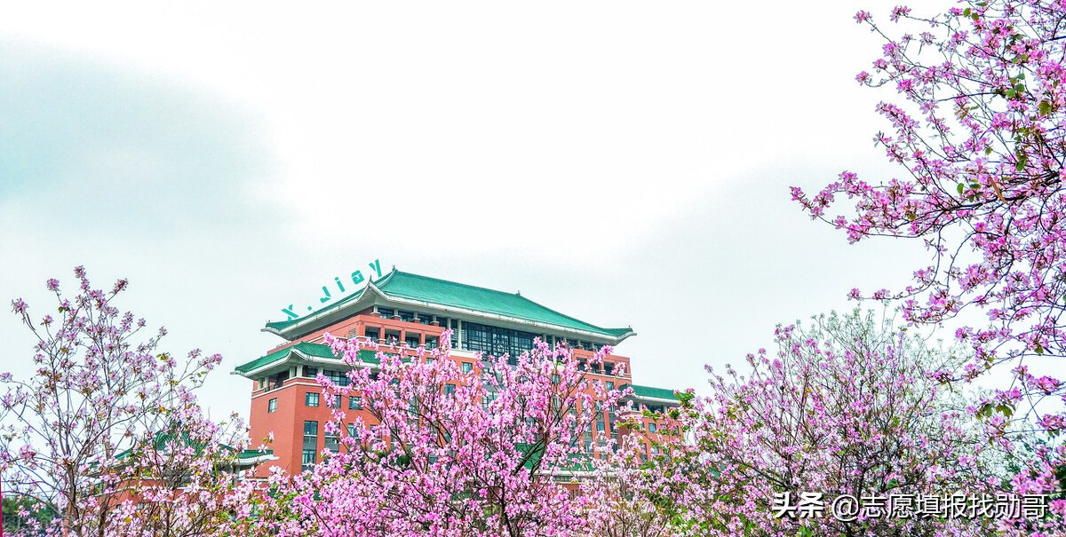 广东很低调的一所大学，学科实力强，填志愿时不要直接忽略