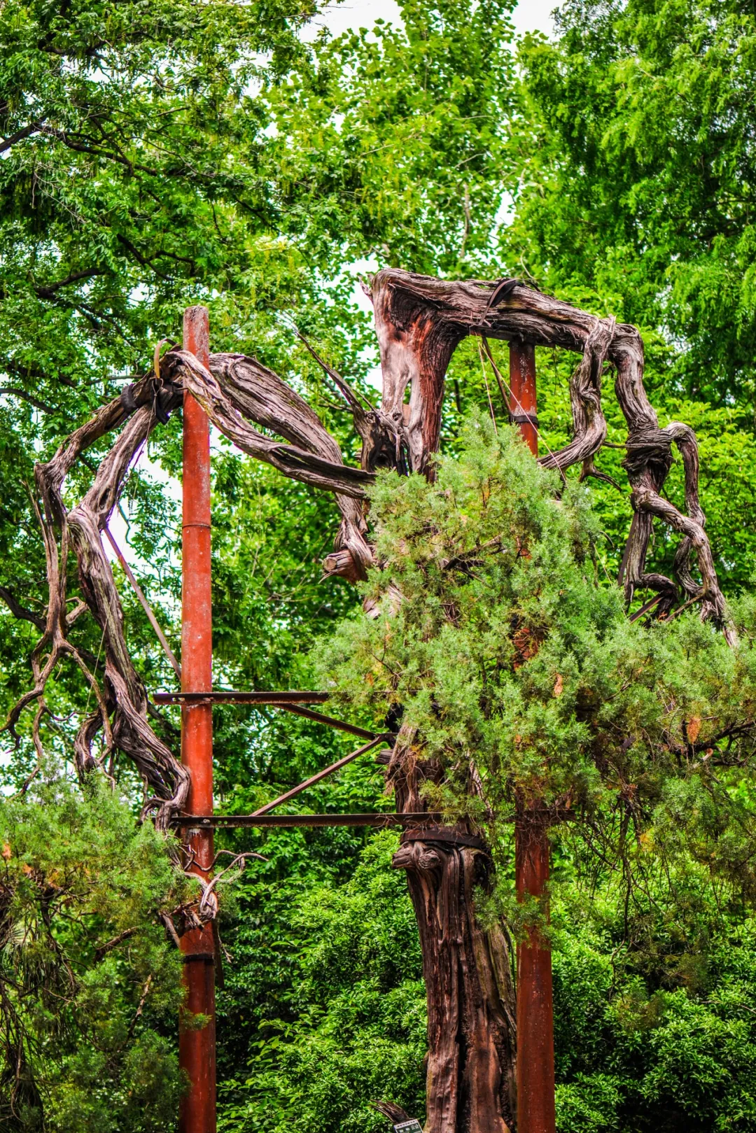 东南大学：我不是“福建大三本”
