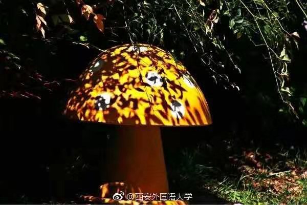 西安外国语大学，是由什么做成的？