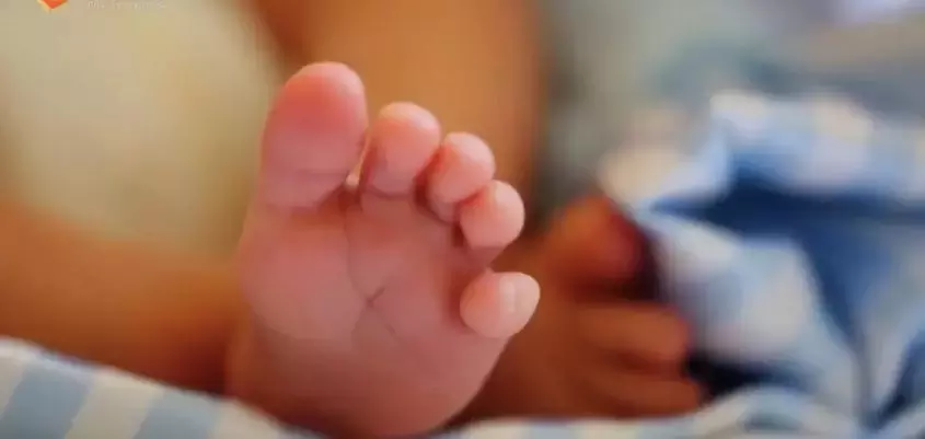 高薪月嫂多离异？揭秘月嫂高收入背后的故事