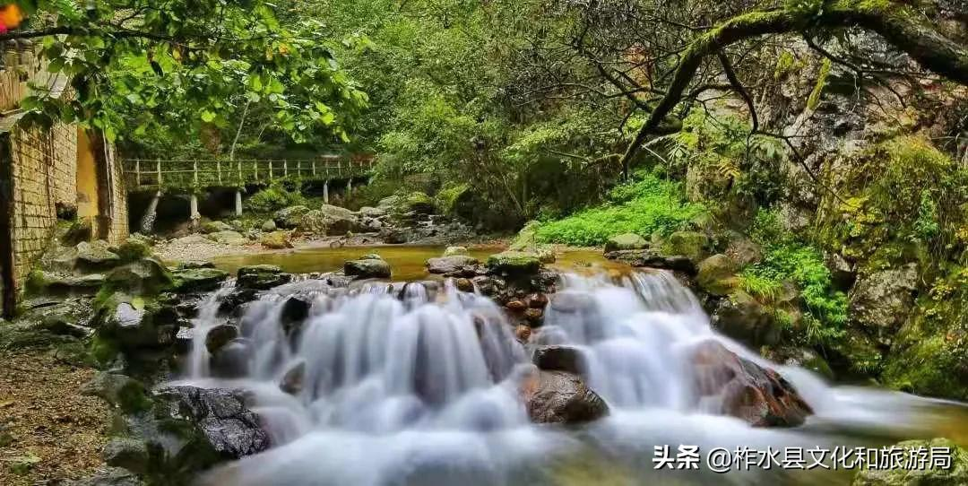 炎炎夏日何其热,行于柞水享自在