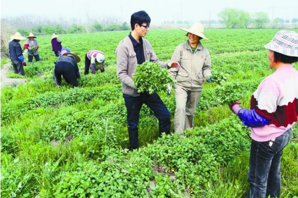 “大学生村官”走进人们视野，听起来很牛，工作起来就知道苦了