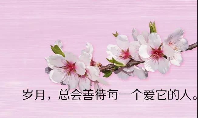 开心短句说说发朋友圈 简单快乐的心态句子正能量爆棚图片