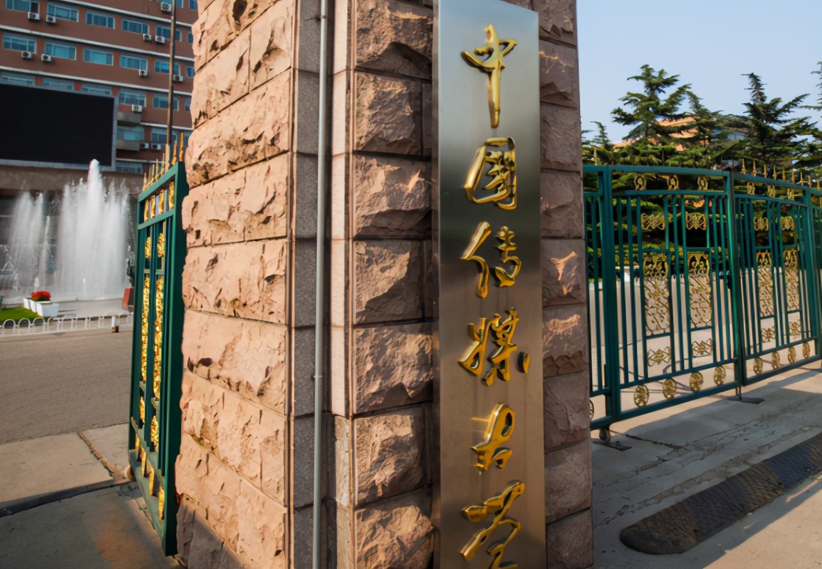 大学校花（中国传媒大学校花走红）