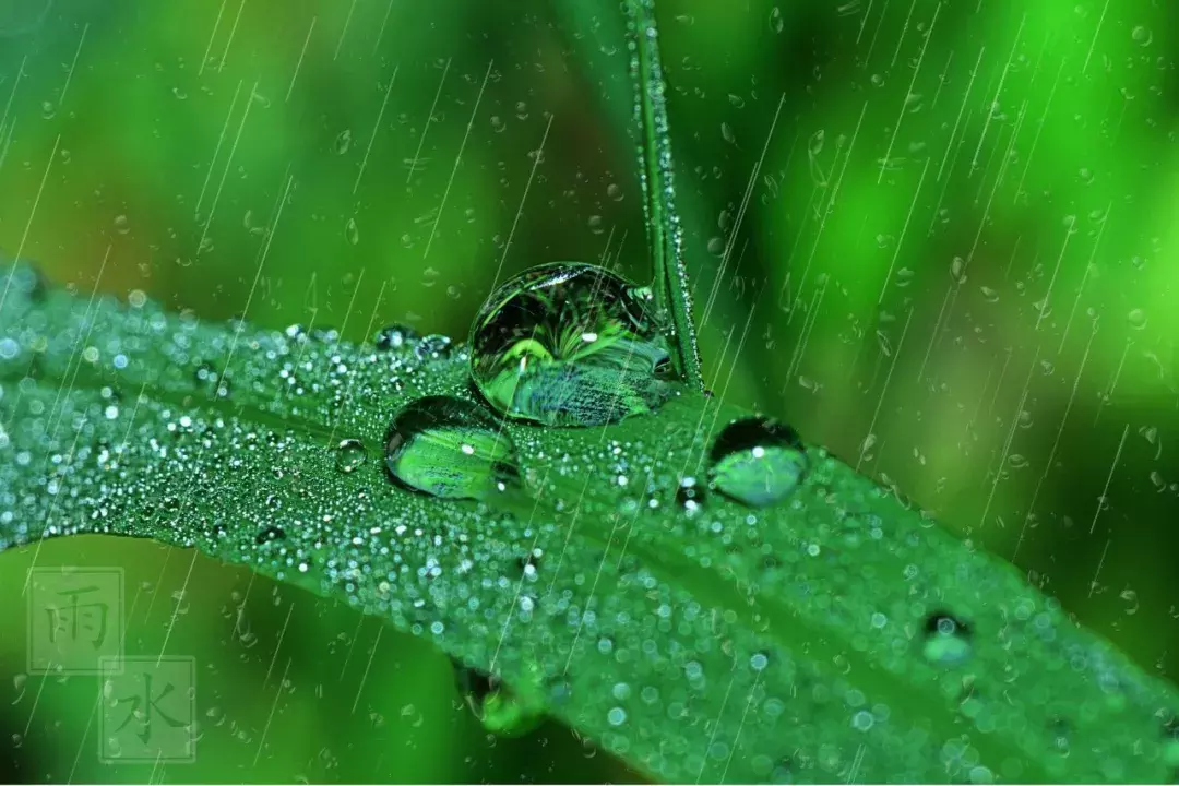 最缠绵的4首落雨诗词:静听雨打窗台,等一人归来