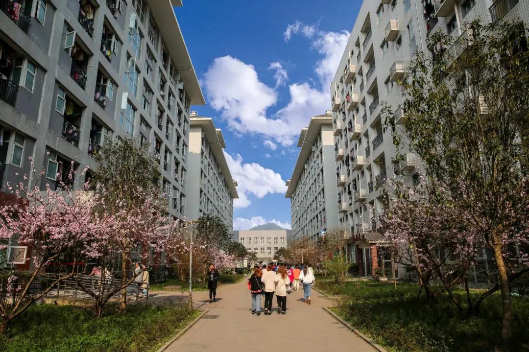 雅安职业技术学院2021年单招计划、考试要点、往年分数线